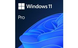 Image 1 - Win 11 Pro for Wrkstns 64Bit Hungarian 1pk DSP OEI DVD