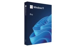 Image 1 - Win Pro FPP 11 64-bit Hungarian USB