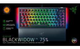 Image 2 - Razer BlackWidow V4 75% - US Layout