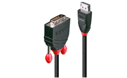 Image 1 - Lindy 2m DisplayPort to DVI Cable